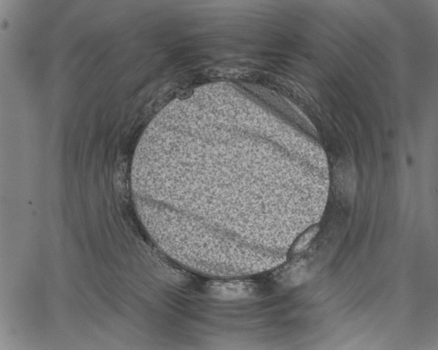 X0000062130181200601060907