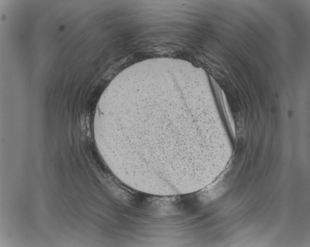 X0000062130182200601060907