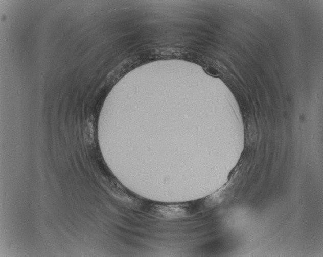 X0000062130183200601060907