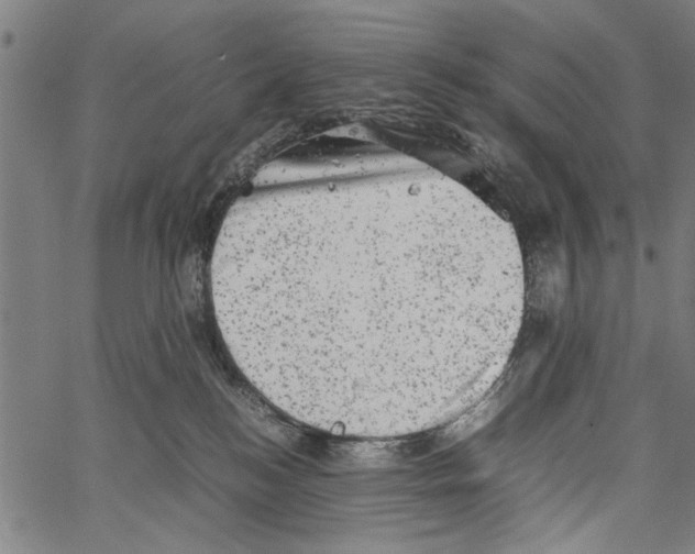 X0000062130184200601060907