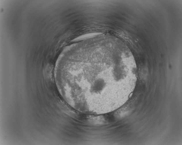 X0000062130185200601060907