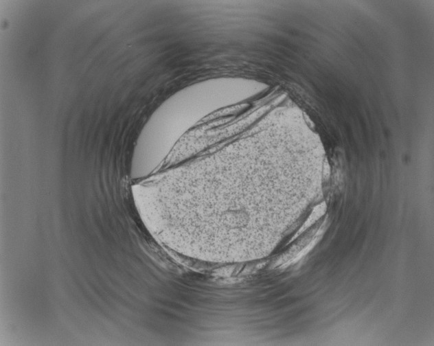 X0000062130186200601060907