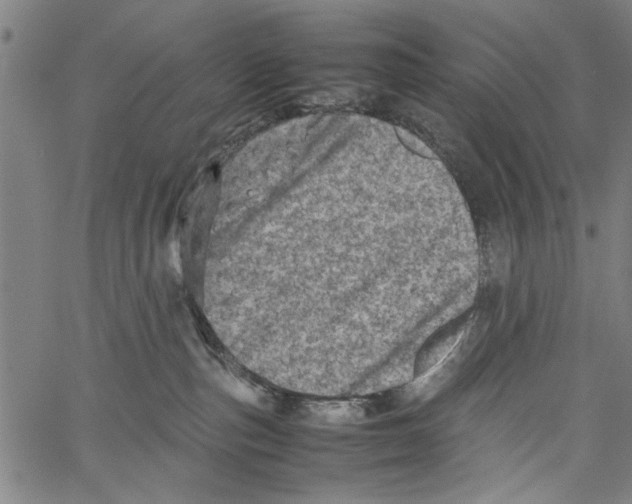 X0000062130187200601060907