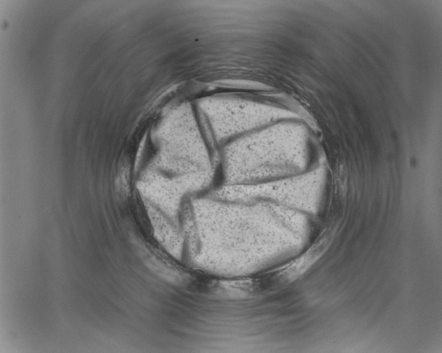 X0000062130188200601060907