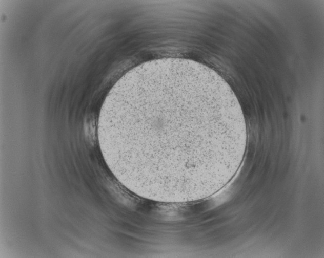 X0000062130190200601060907