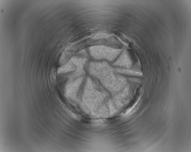 X0000062130192200601060907