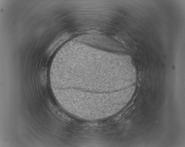 X0000062130194200601060906