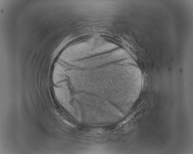 X0000062130195200601060906