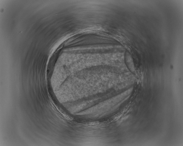 X0000062130196200601060906