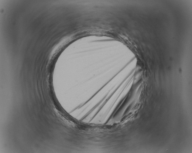 X0000062130197200601060906