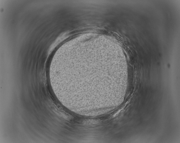 X0000062130198200601060906