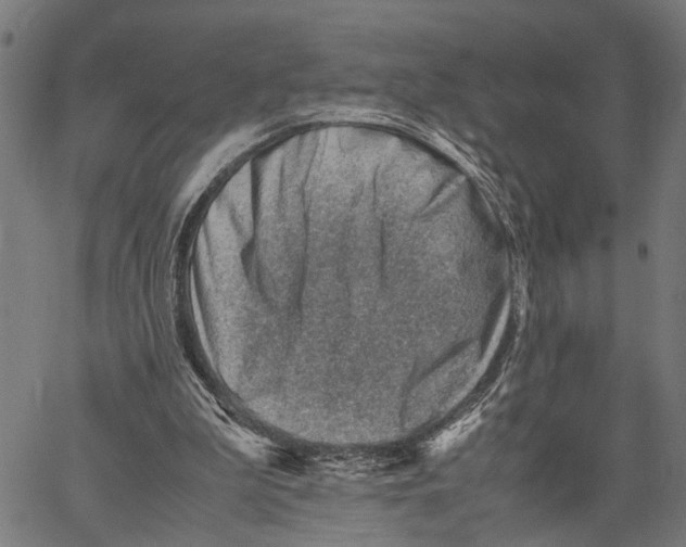 X0000062130199200601060906