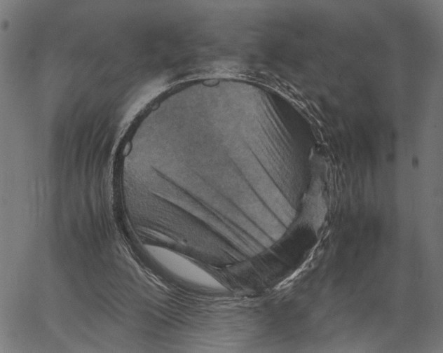 X0000062130200200601060906