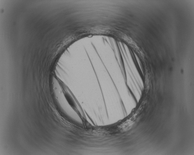 X0000062130201200601060906