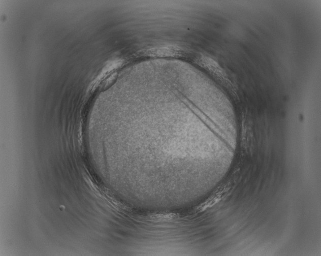 X0000062130202200601060906