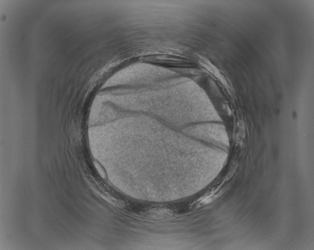 X0000062130203200601060906