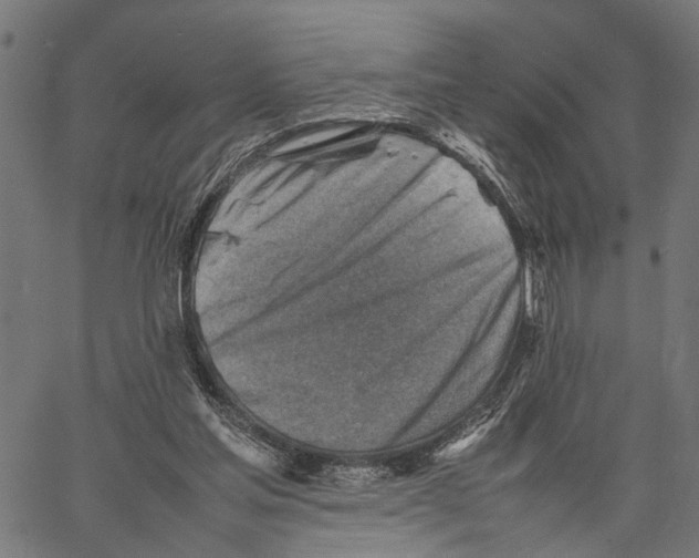 X0000062130205200601060906