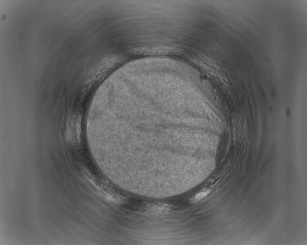 X0000062130206200601060906