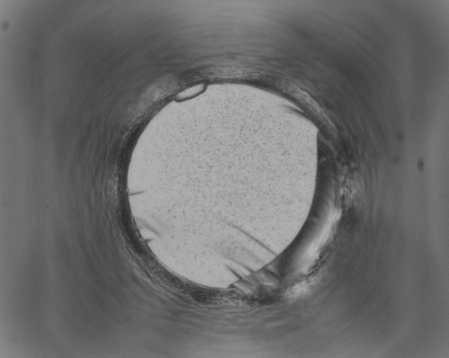 X0000062130207200601060906