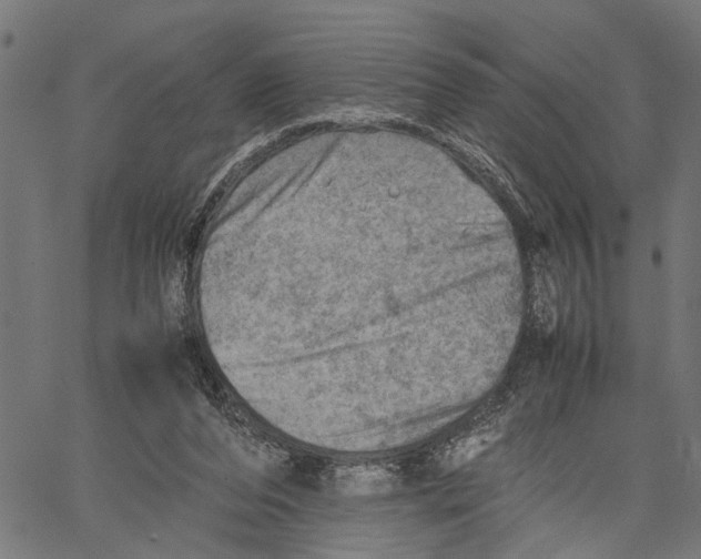 X0000062130208200601060906