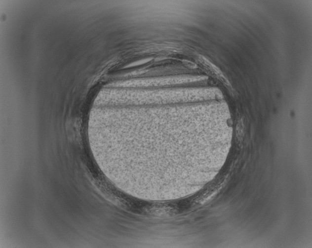 X0000062130209200601060906