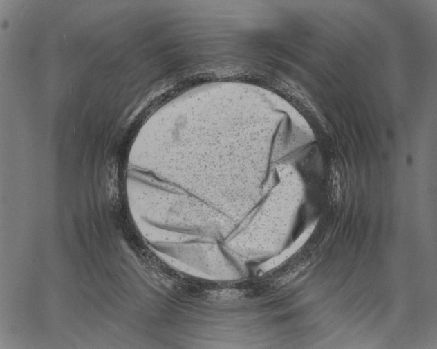 X0000062130212200601060906