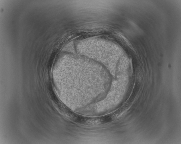 X0000062130213200601060906