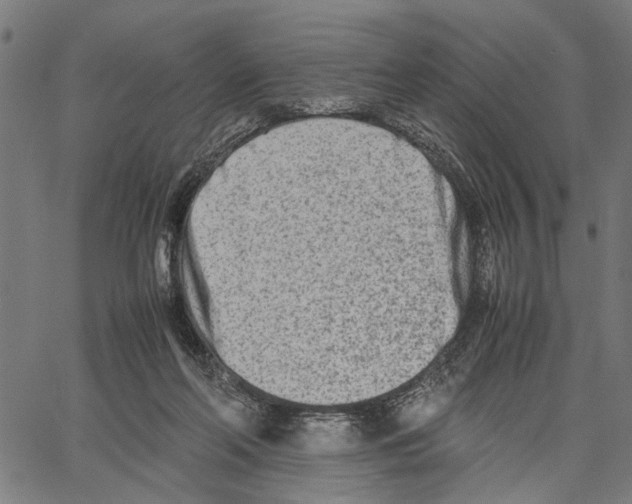 X0000062130214200601060906