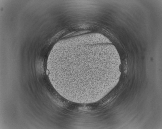 X0000062130216200601060906