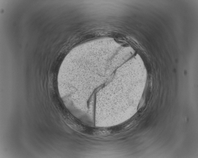 X0000062130217200601060906