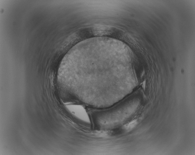 X0000062130219200601060906