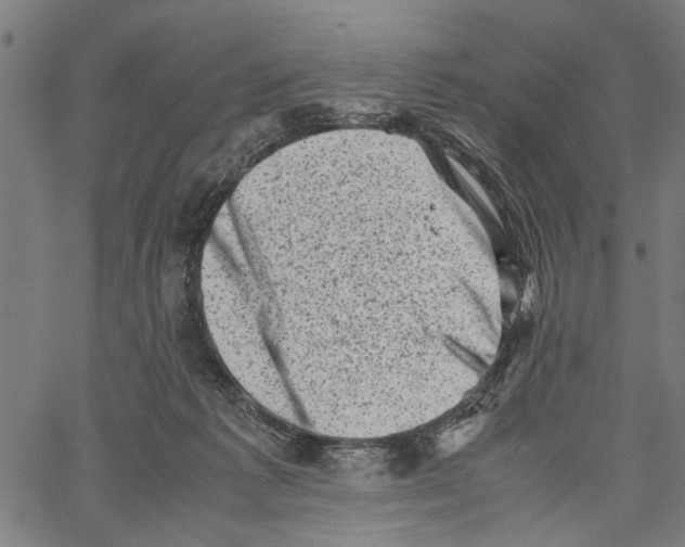 X0000062130221200601060906