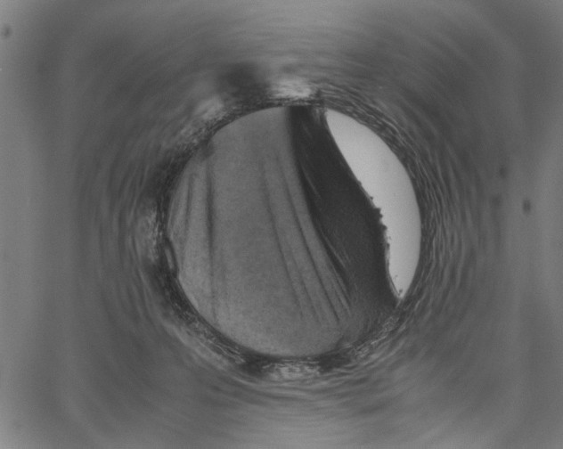 X0000062130223200601060906