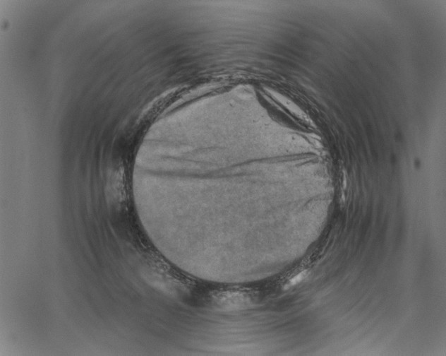 X0000062130224200601060906