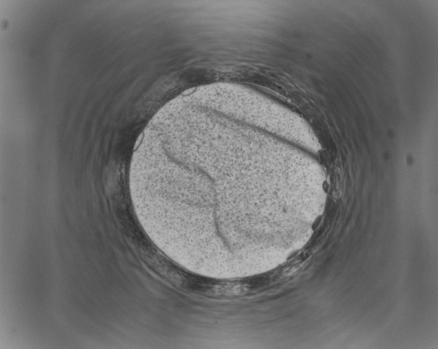 X0000062130225200601060906