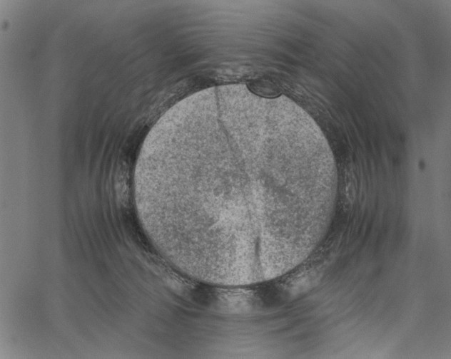 X0000062130226200601060906