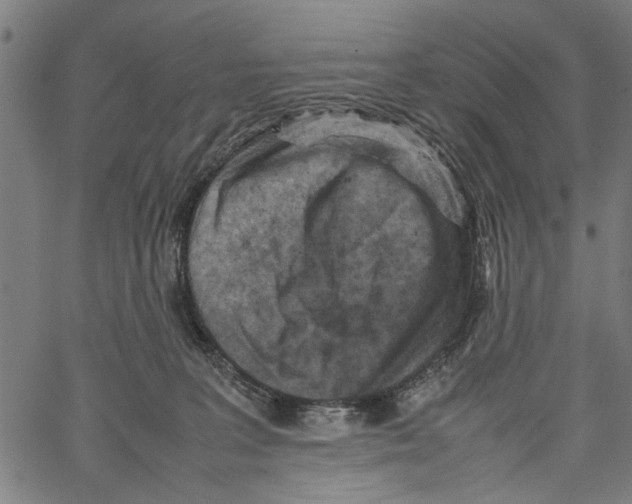 X0000062130227200601060905