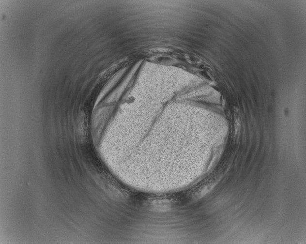 X0000062130228200601060905