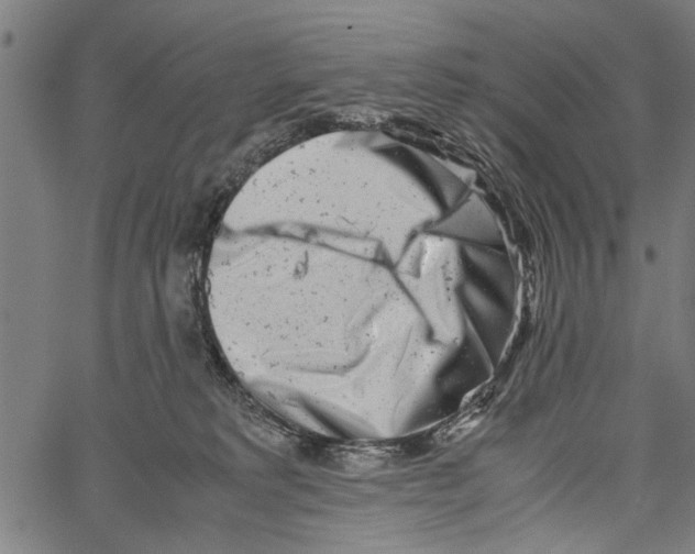 X0000062130229200601060905