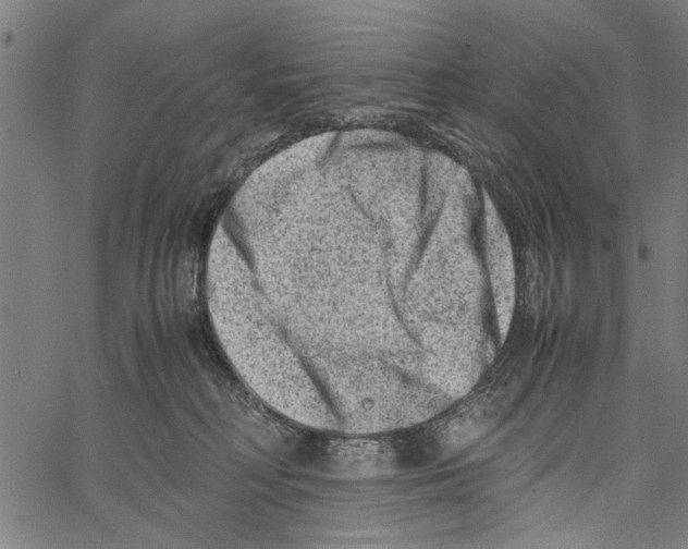 X0000062130230200601060905