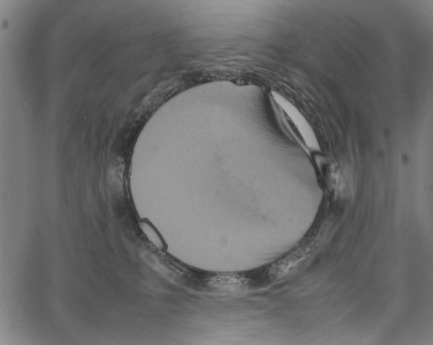 X0000062130231200601060905