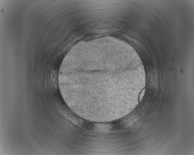 X0000062130234200601060905