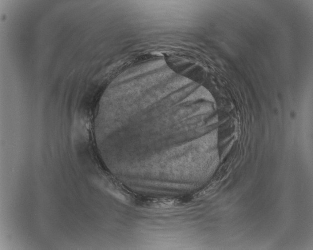 X0000062130235200601060905