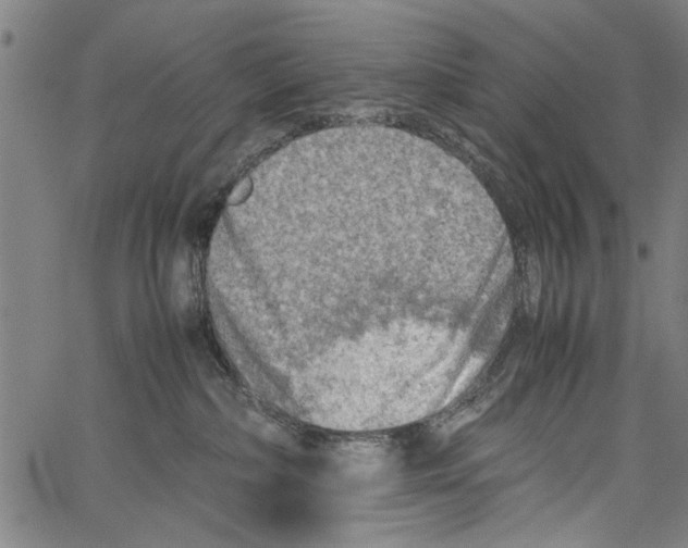 X0000062130236200601060905