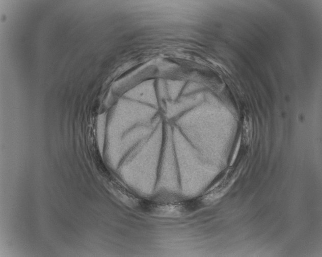 X0000062130237200601060905