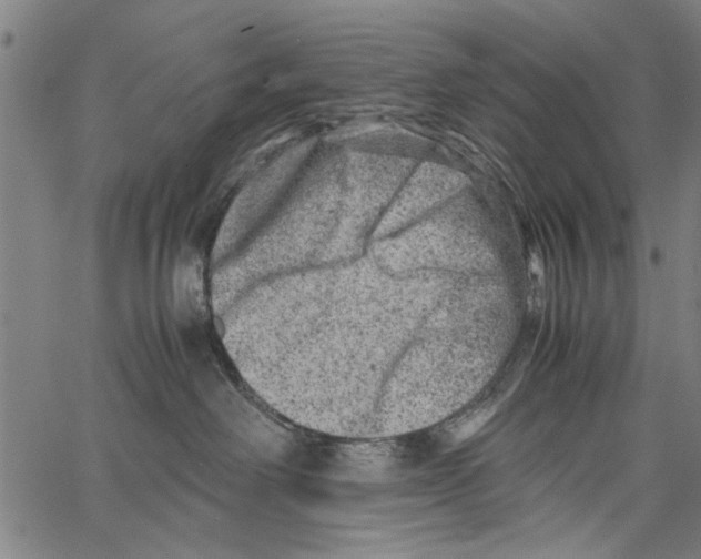 X0000062130238200601060905