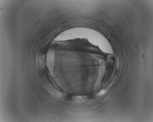 X0000062130239200601060905