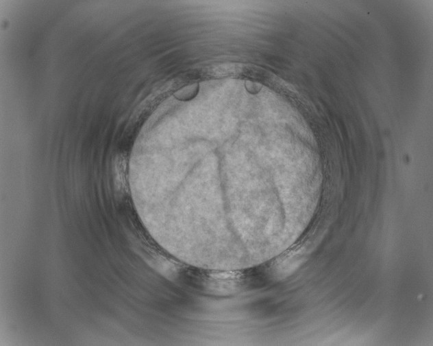 X0000062130240200601060905