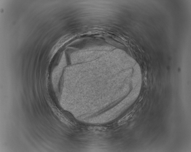 X0000062130242200601060904