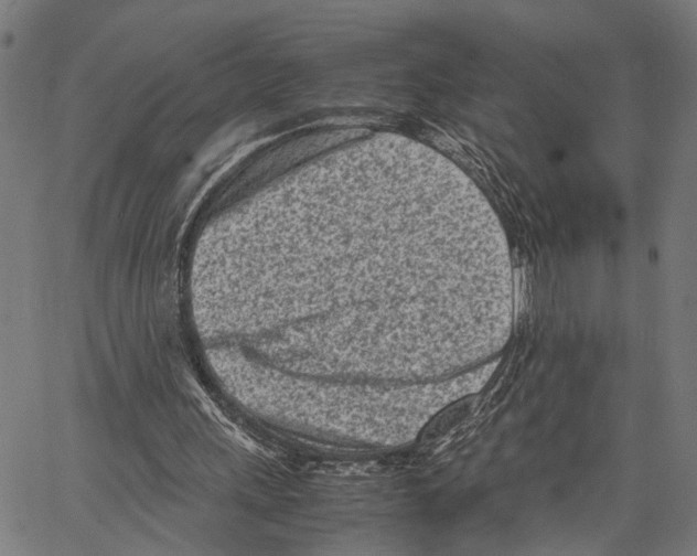 X0000062130243200601060904